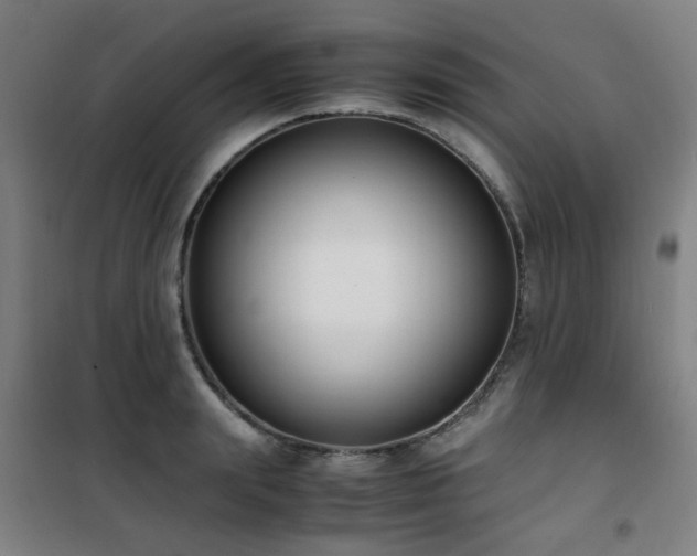 X0000101660847200807101252