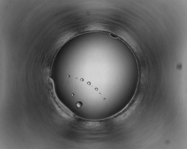 X0000101660849200807101252