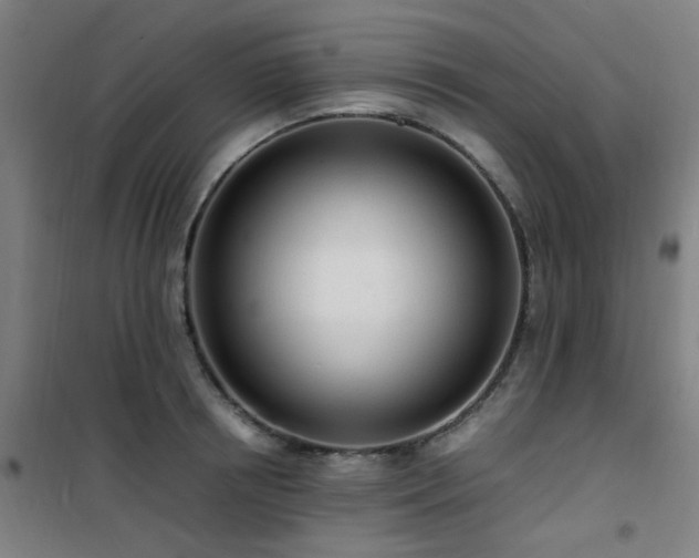 X0000101660850200807101252