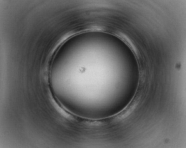 X0000101660851200807101252