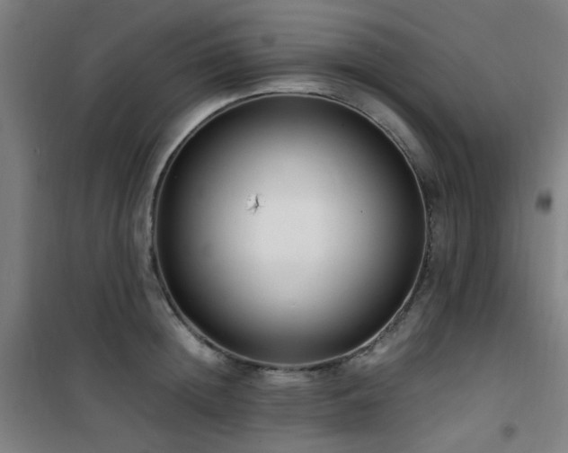 X0000101660852200807101252