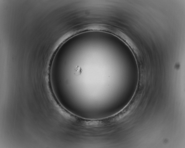 X0000101660853200807101252