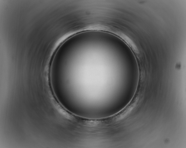 X0000101660854200807101252