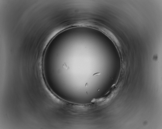 X0000101660855200807101252