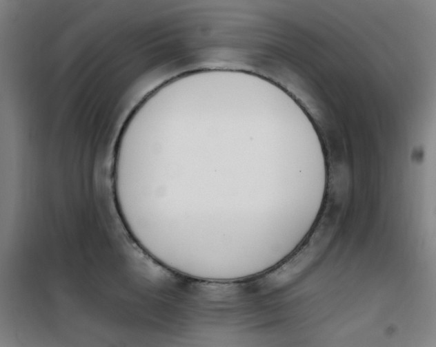 X0000101660856200807101252