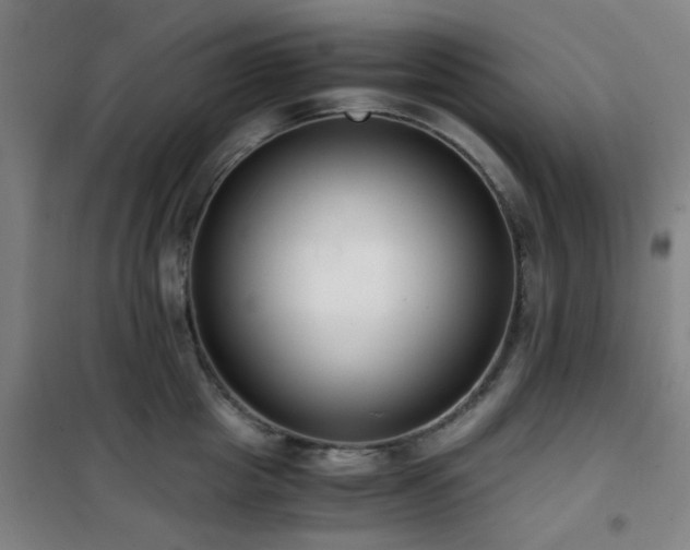 X0000101660857200807101252