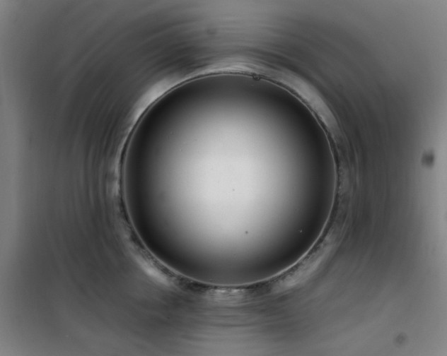 X0000101660858200807101252