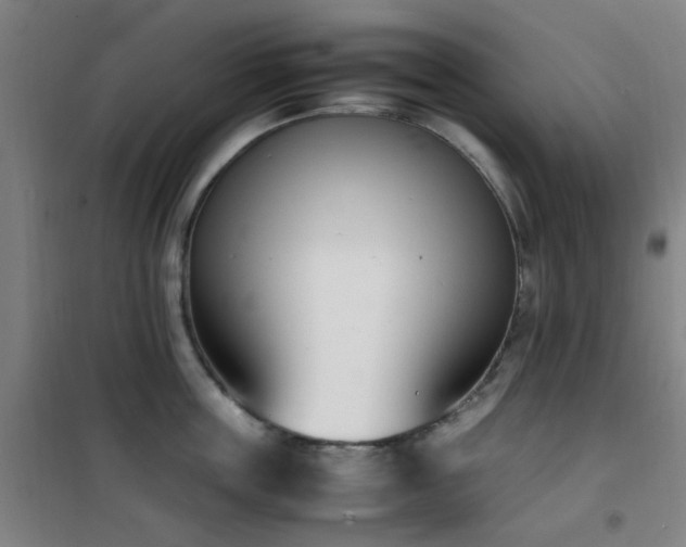 X0000101660859200807101252