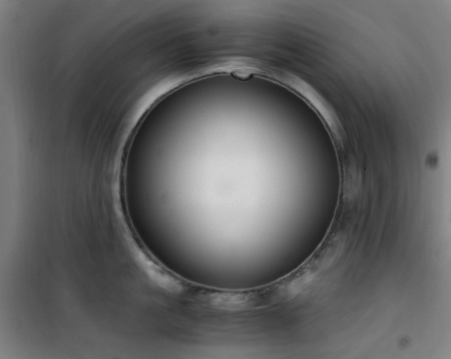 X0000101660861200807101252