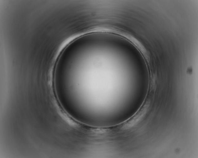 X0000101660862200807101252