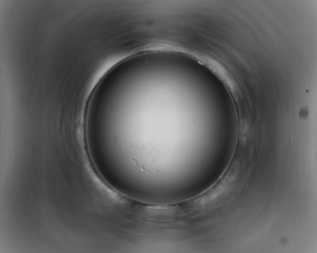 X0000101660863200807101252