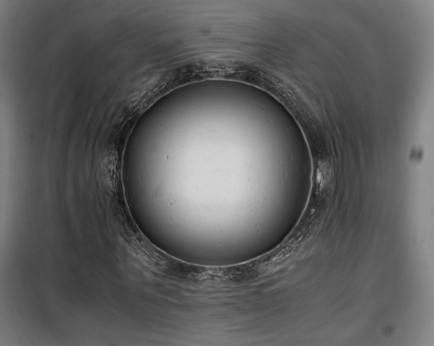 X0000101660867200807101252