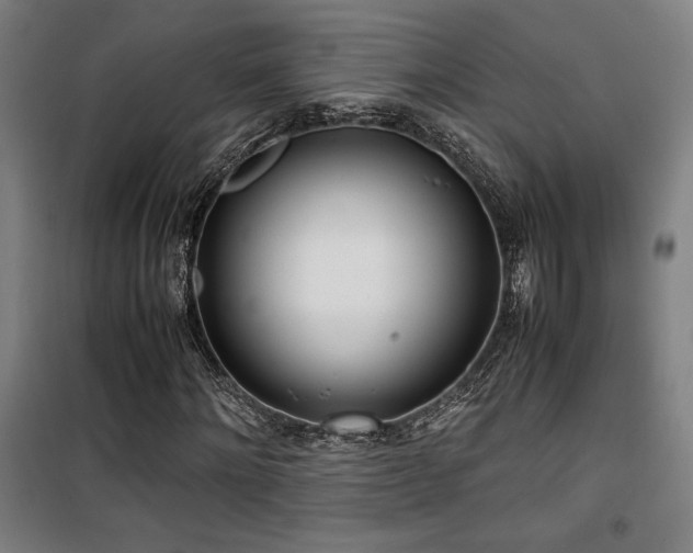 X0000101660868200807101252