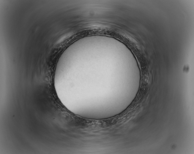 X0000101660869200807101252