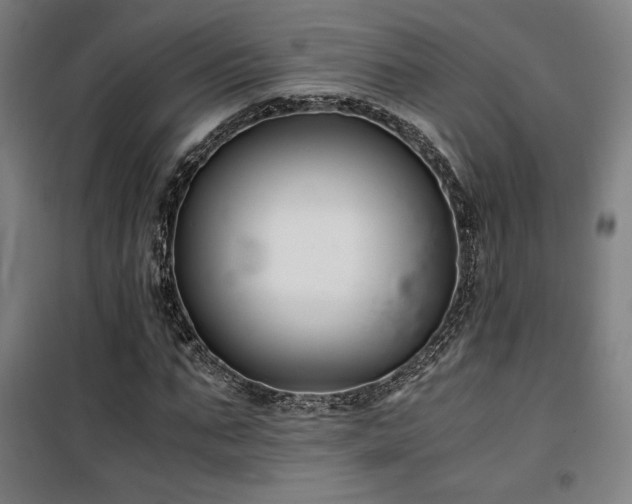 X0000101660871200807101252