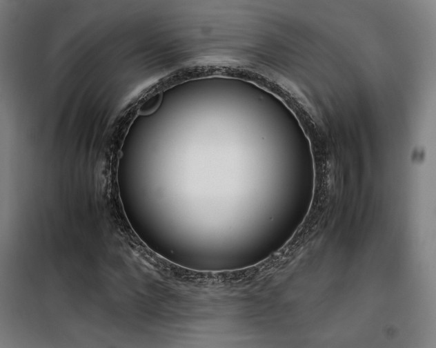 X0000101660872200807101252