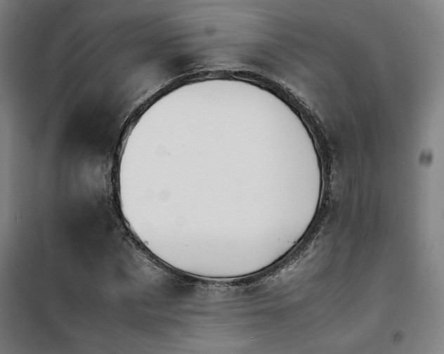 X0000101660873200807101252