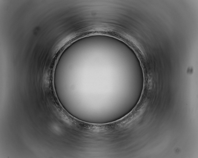 X0000101660874200807101252