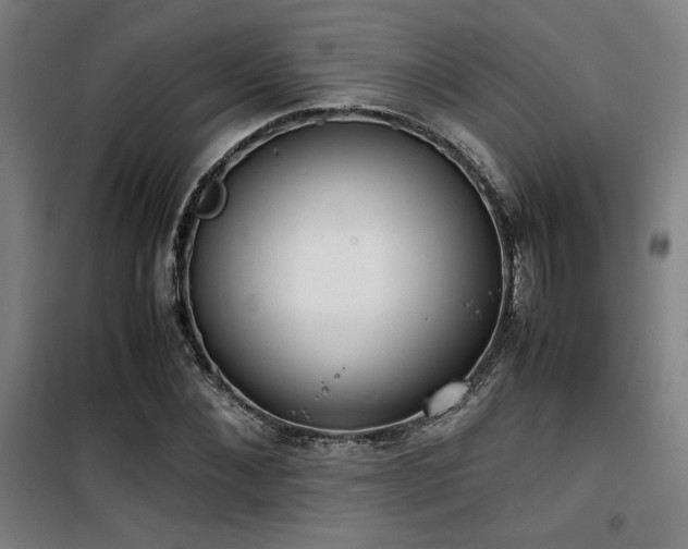 X0000101660876200807101252