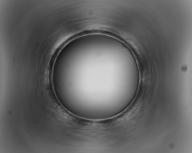 X0000101660877200807101252