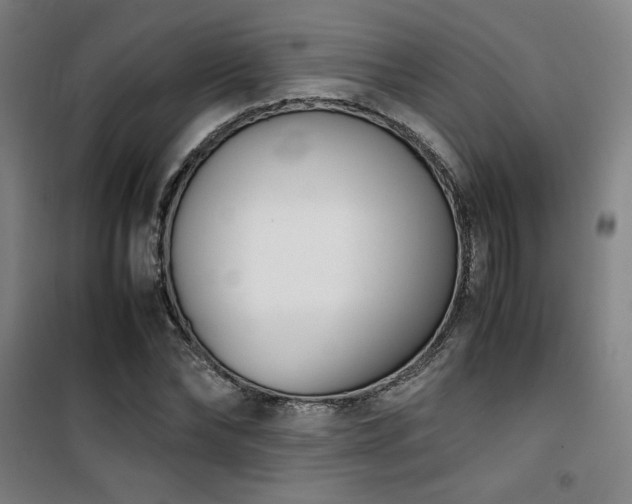 X0000101660878200807101252