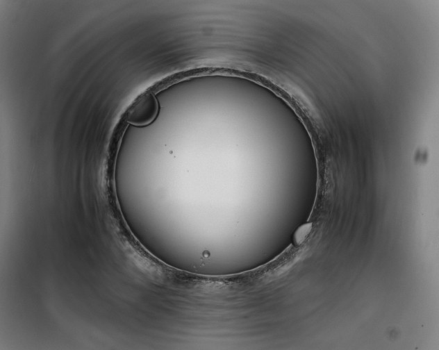 X0000101660880200807101252