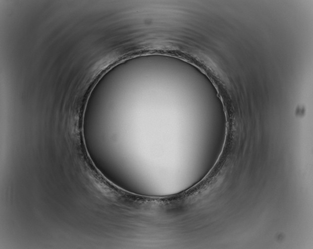 X0000101660881200807101252