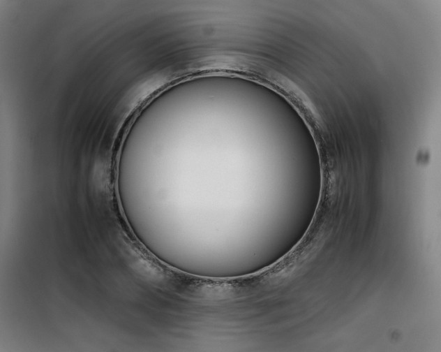 X0000101660882200807101252