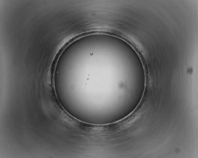 X0000101660883200807101252