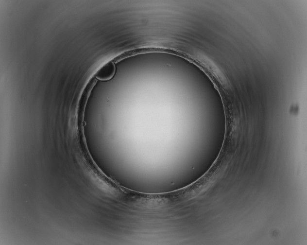 X0000101660884200807101252