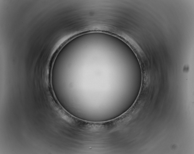 X0000101660886200807101251