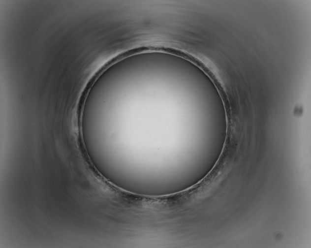 X0000101660887200807101251