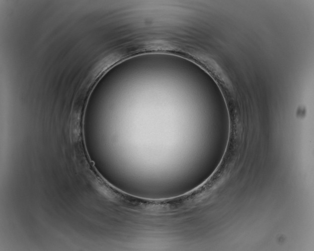 X0000101660889200807101251