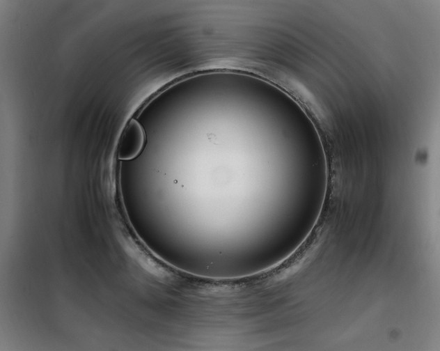 X0000101660892200807101251