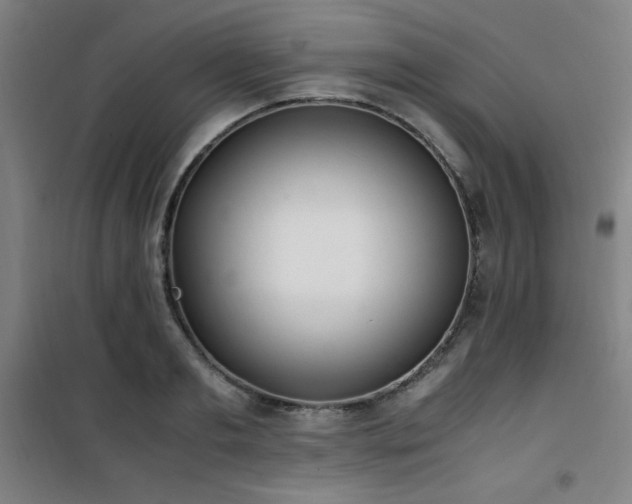 X0000101660893200807101251