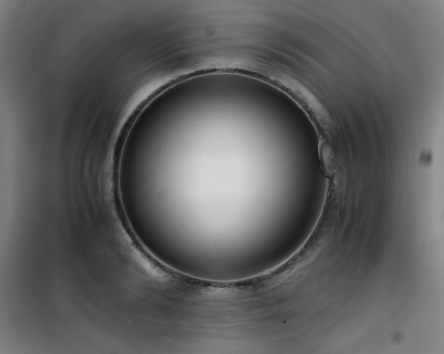 X0000101660894200807101251