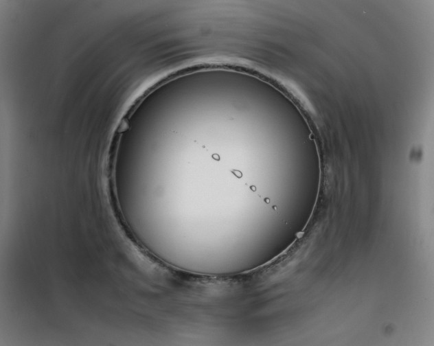 X0000101660895200807101251