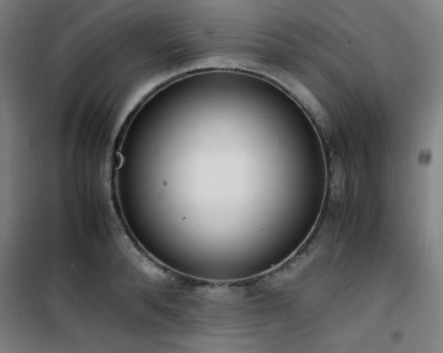 X0000101660896200807101251