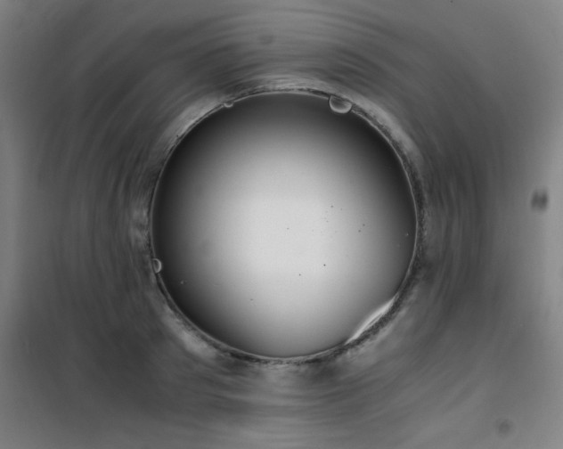 X0000101660897200807101251