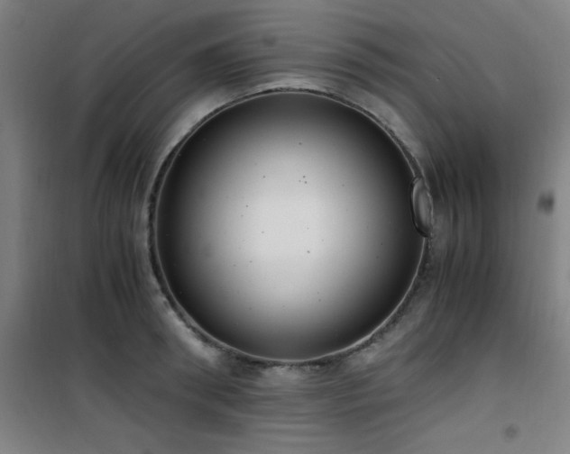 X0000101660898200807101251