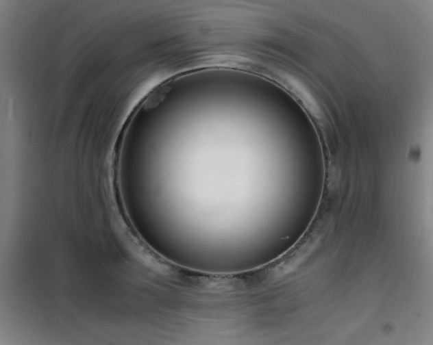 X0000101660899200807101251