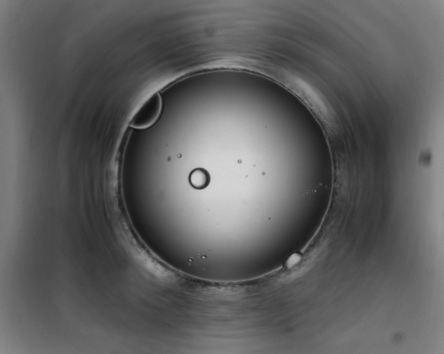 X0000101660900200807101251