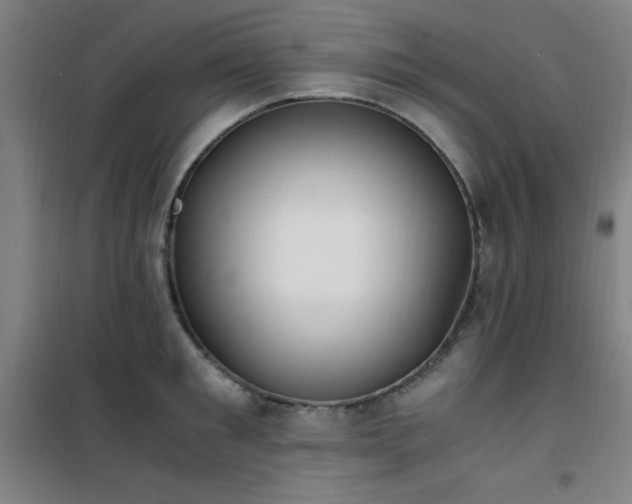 X0000101660901200807101251