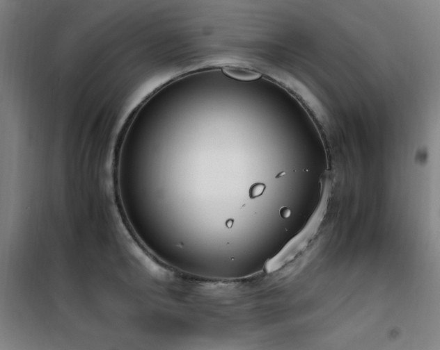 X0000101660902200807101251