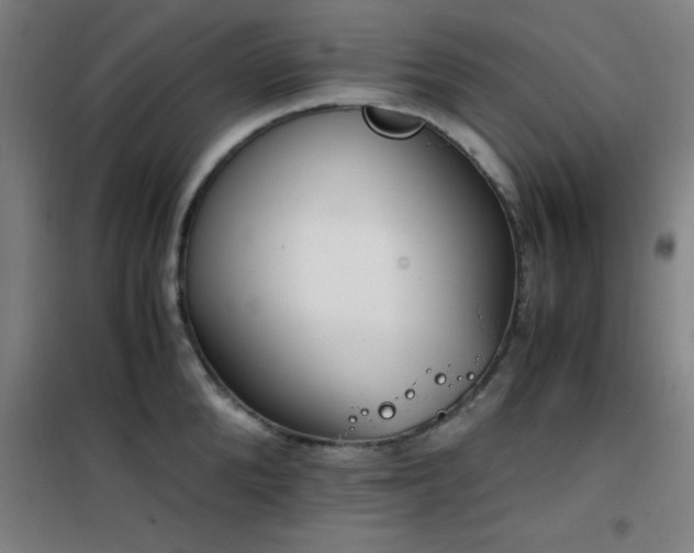 X0000101660904200807101251