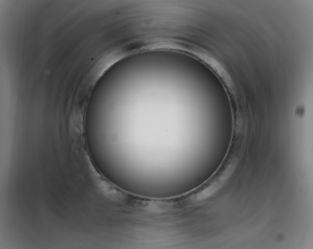 X0000101660905200807101251