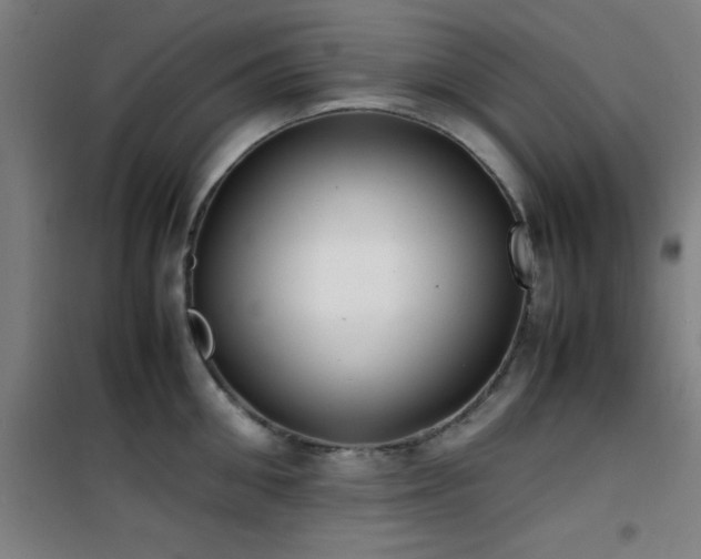 X0000101660906200807101251