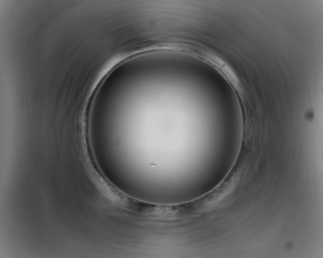 X0000101660907200807101251