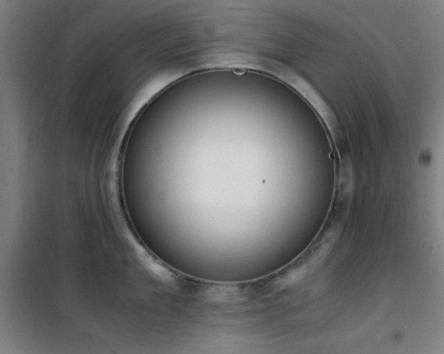 X0000101660909200807101251