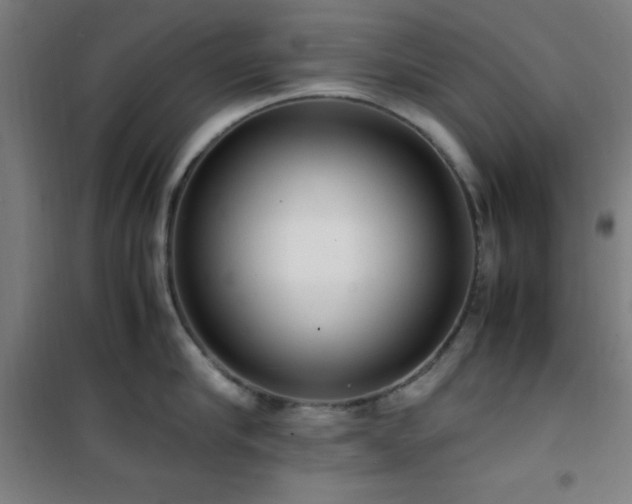 X0000101660910200807101251